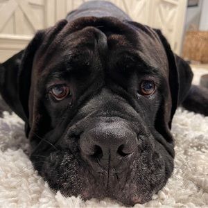 Meet your Posher, Kasey